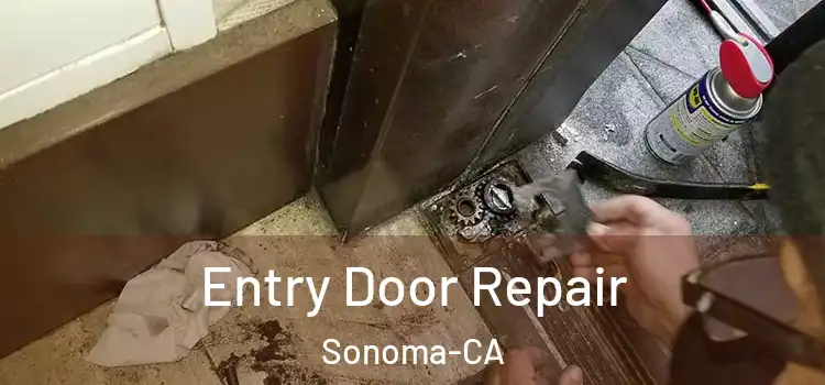 Entry Door Repair Sonoma-CA
